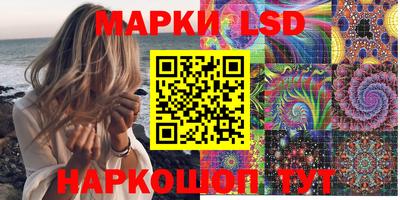 амф Новозыбков