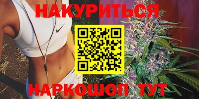 амф Новозыбков