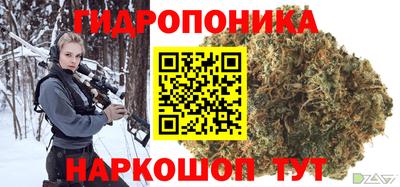 амф Новозыбков