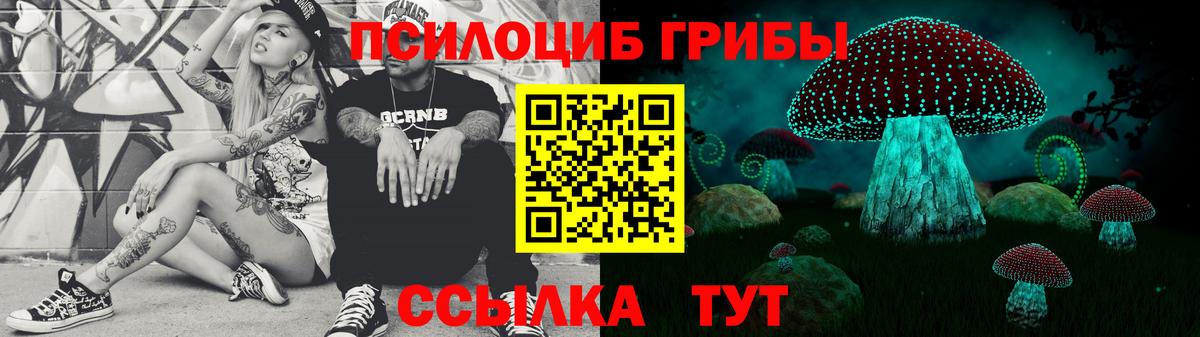 Галлюциногенные грибы Psilocybe Чайковский